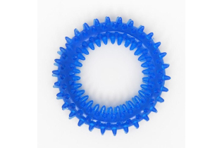 Игрушка жевательная «Игольчатое кольцо», 9 см, синяя